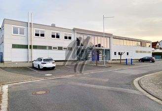 INFOS UNTER: 06171-586000