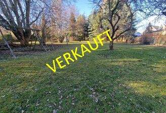 Blick in die andere Richtung