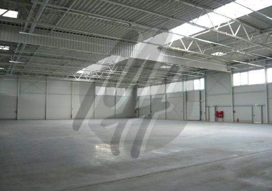 INFOS UNTER: 06171-586000