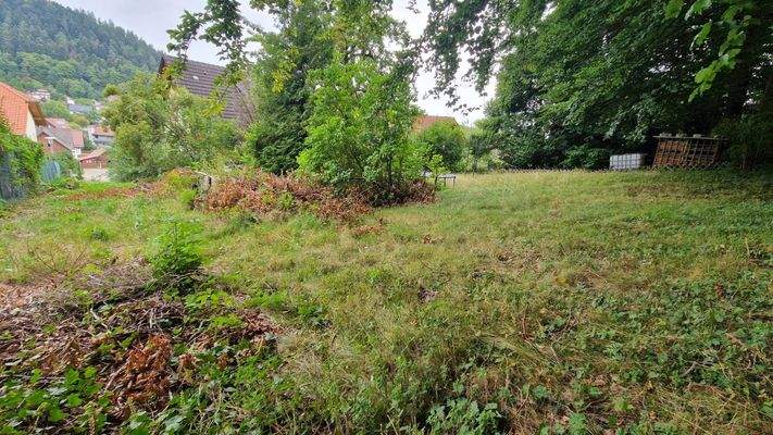 ...und noch mehr Garten!