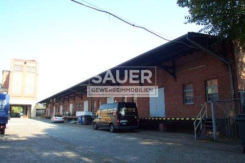 Berlin Halle, Berlin Hallenfläche