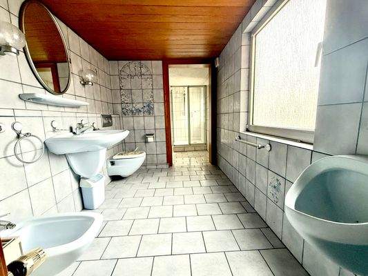 WC-Bereich im Tageslichtbad 1.OG