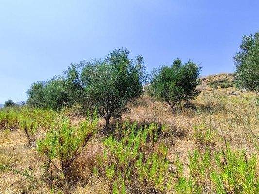 Kreta, Georgioupoli: Premium-Grundstück mit fertiger Lizenz in der Nähe des Dorfes zu verkaufen