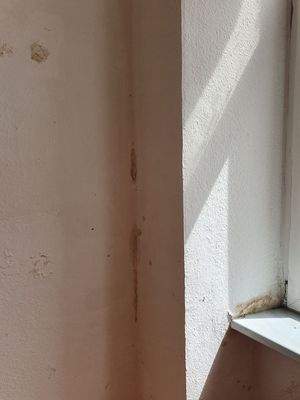 Feuchtigkeit  Gebäudeecke