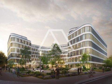 Düsseldorf Büros, Büroräume, Büroflächen 