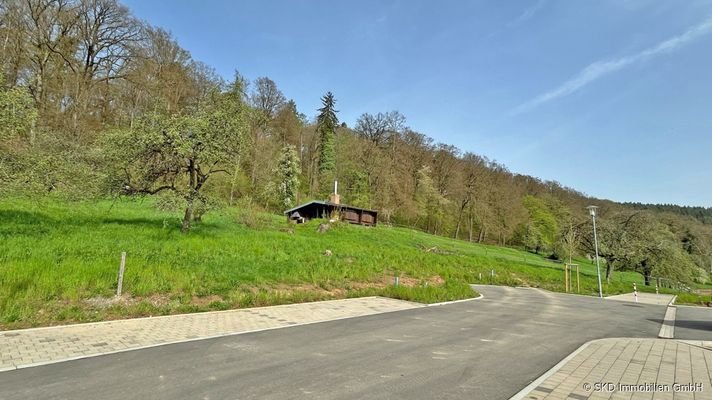 Der Bauplatz am Ende der Straße (links)