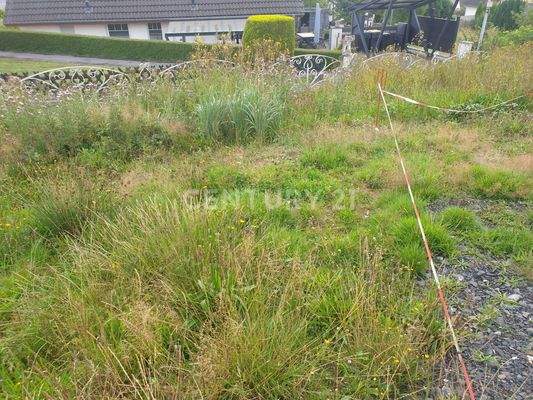 Grundstücksvorderseite von oben