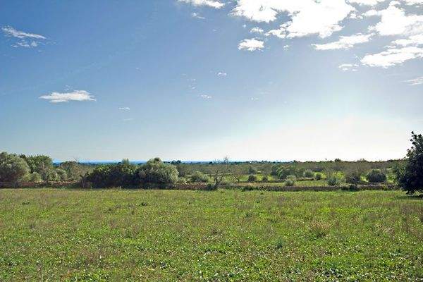 Finca-Grundstück mit Bauprojekt bei Santanyi