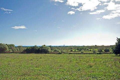 S´Alqueria Blanca Grundstücke, S´Alqueria Blanca Grundstück kaufen