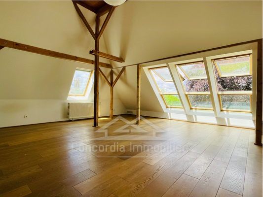 hell u. großzügig, Studio unterm Dach