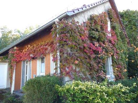 Höxter Häuser, Höxter Haus kaufen