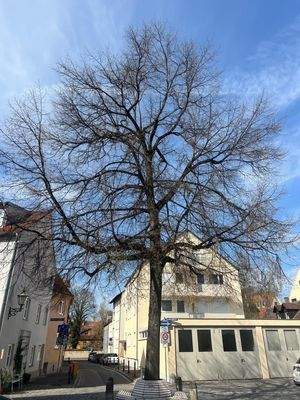 Idylle in der Altstadt