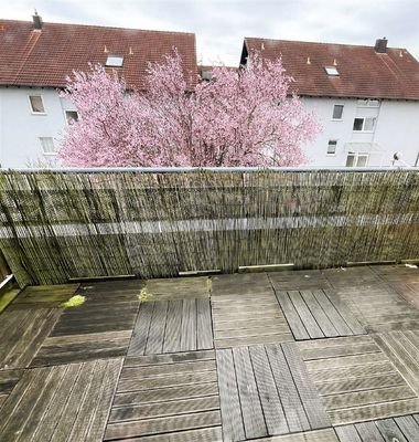 Bild6