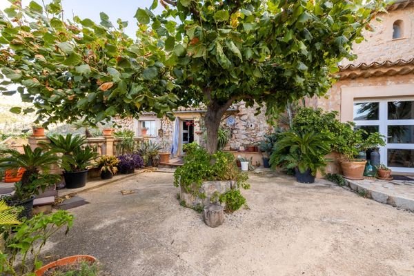 Terrace Patio
