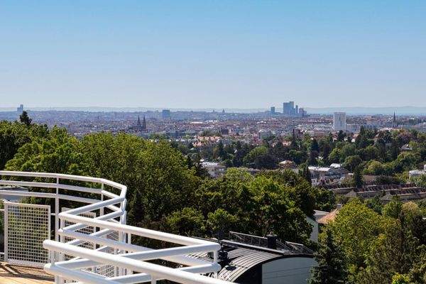 Panoramablick ins Grüne und Wienblick
