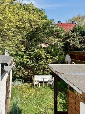 Blick in den Garten 