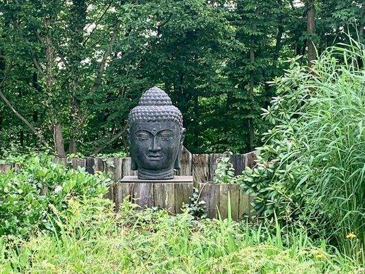 Alles grün - auch jenseits des Gartens.jpg