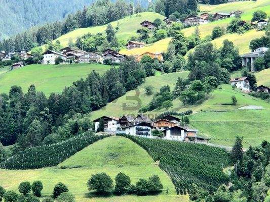 Ansicht Hof und Grundstücke