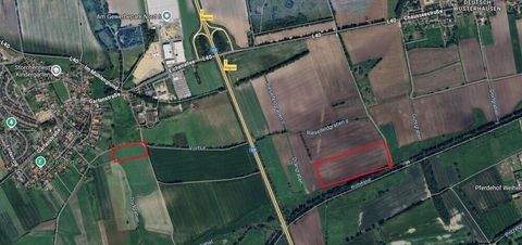 Ragow Bauernhöfe, Landwirtschaft, Ragow Forstwirtschaft