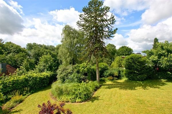 Ihr Panoramablick ins Grüne