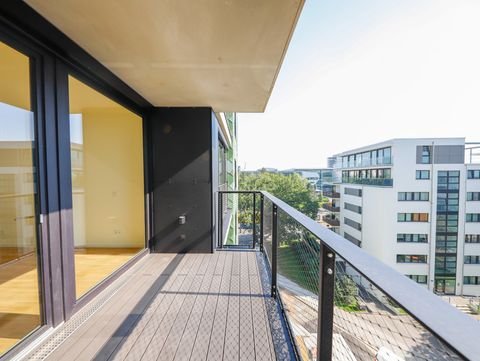 Dresden Stadt Wohnungen, Dresden Stadt Wohnung mieten