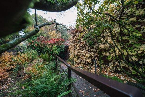 2025-10_VR Immo_Im Borntal 21, Mayen-51