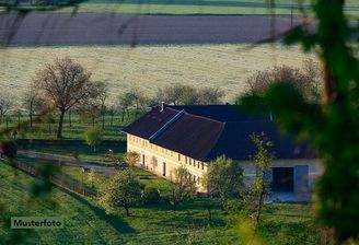 Keine Originalbilder