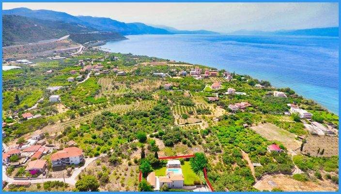 c0cada9c6e7f4f34af4dad4a6426061e-original