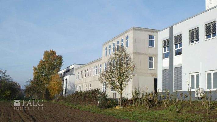 Ansicht Rückseite ohne Gerüst (KI)