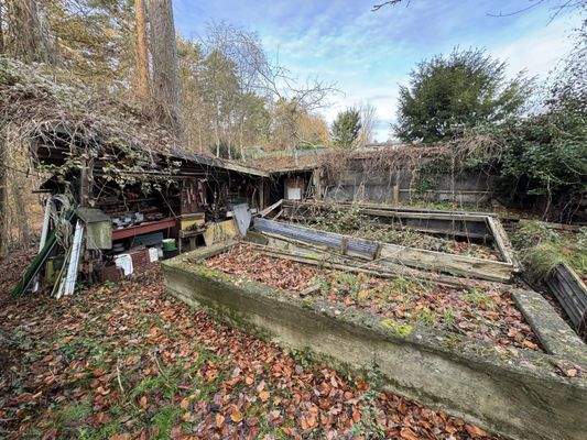 Steinbeete auf dem Grundstück