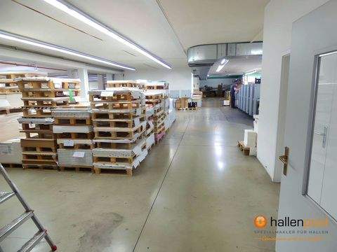 Sulzbach Rosenberg Halle, Sulzbach Rosenberg Hallenfläche