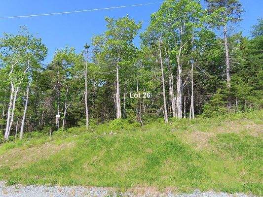 Cape Breton - Einzigartige Atlantik-Lage - 31 Hekt