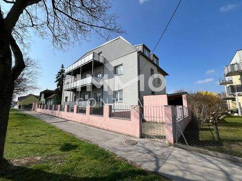 Hohenau an der March Renditeobjekte, Mehrfamilienhäuser, Geschäftshäuser, Kapitalanlage