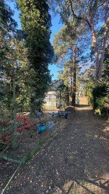 Blick aufs Grundstück