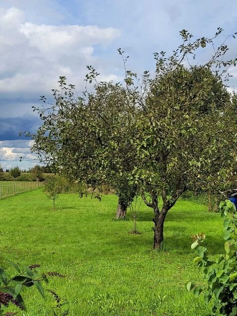 Lahr/Schwarzwald Grundstücke, Lahr/Schwarzwald Grundstück kaufen