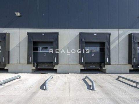 Kempen Halle, Kempen Hallenfläche