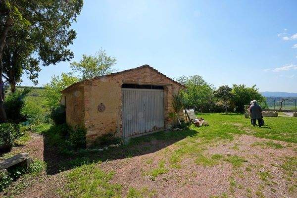 DSC01661 (Kopie).JPG