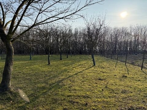 Gräfendorf Grundstücke, Gräfendorf Grundstück kaufen