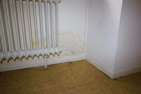 Wasserfleck - trocken