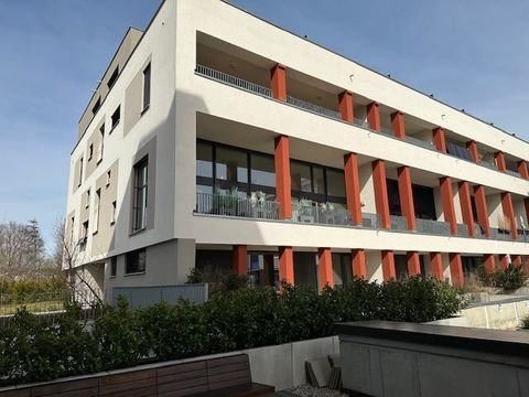 Ulm Wohnungen, Ulm Wohnung mieten