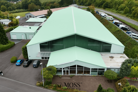 Dernbach Bauernhöfe, Landwirtschaft, Dernbach Forstwirtschaft