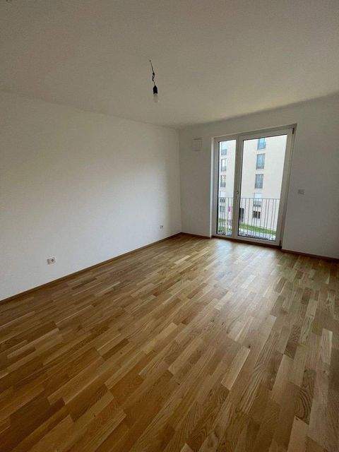 Stein Wohnungen, Stein Wohnung mieten