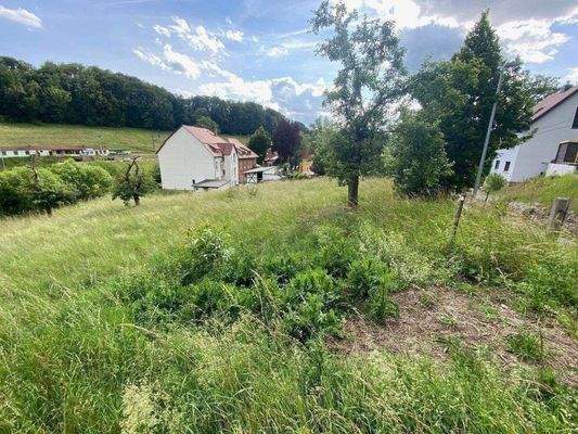 Blickrichtung talabwärts Richtung Südwest.jpg