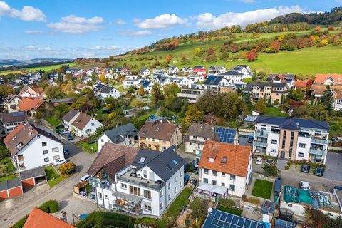 Hilzingen / Riedheim Wohnungen, Hilzingen / Riedheim Wohnung kaufen