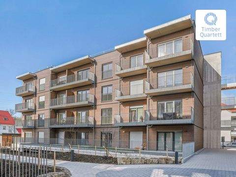 Künzelsau Wohnungen, Künzelsau Wohnung mieten