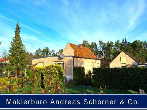 Forst (Lausitz) Häuser, Forst (Lausitz) Haus kaufen