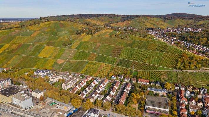 Obertürkheimer Weinberge