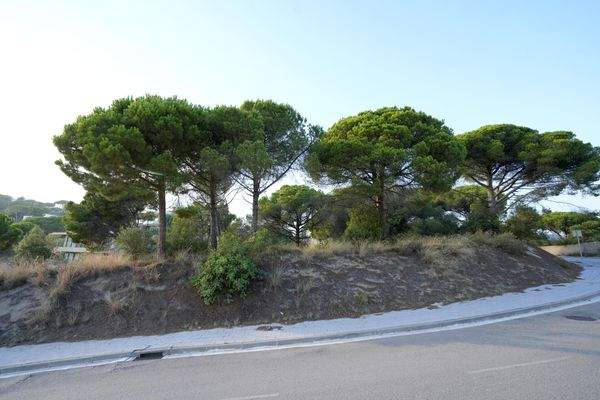 terreny llavaneres (9)