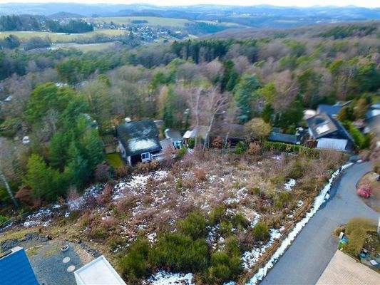 Grundstück / Waldansicht