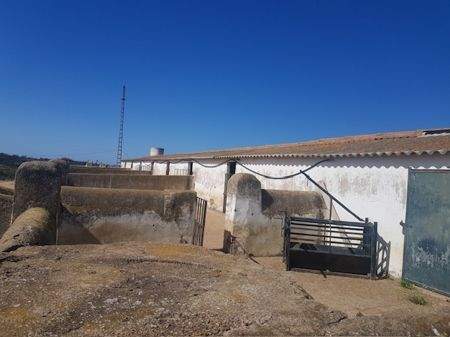 7cbf268f-61d7-459f-b985-81518e6f3116